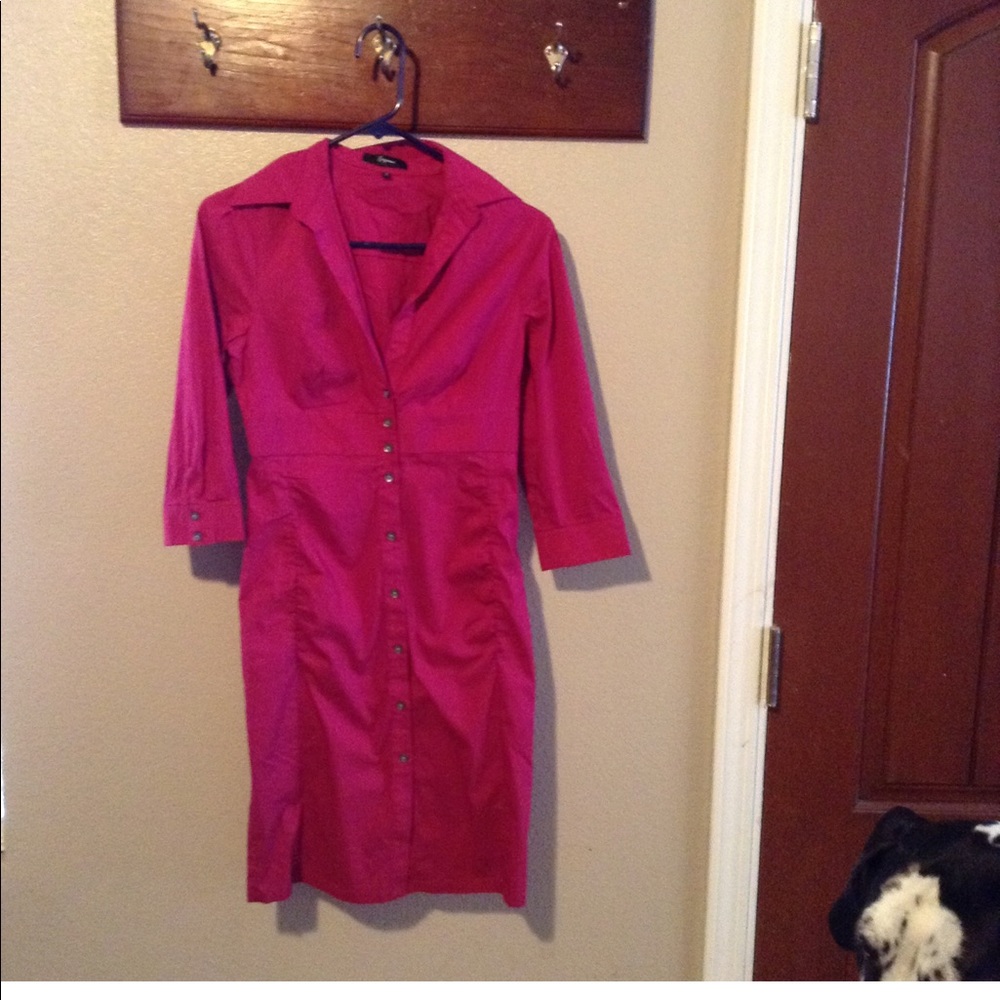 Express fuchsia pink pencil dress size 2